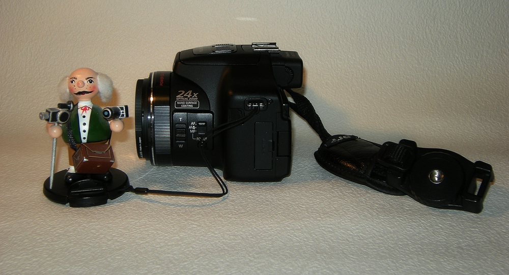 compDSCN1461.jpg