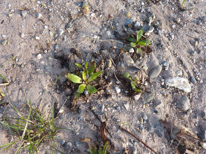 P1020163.JPG