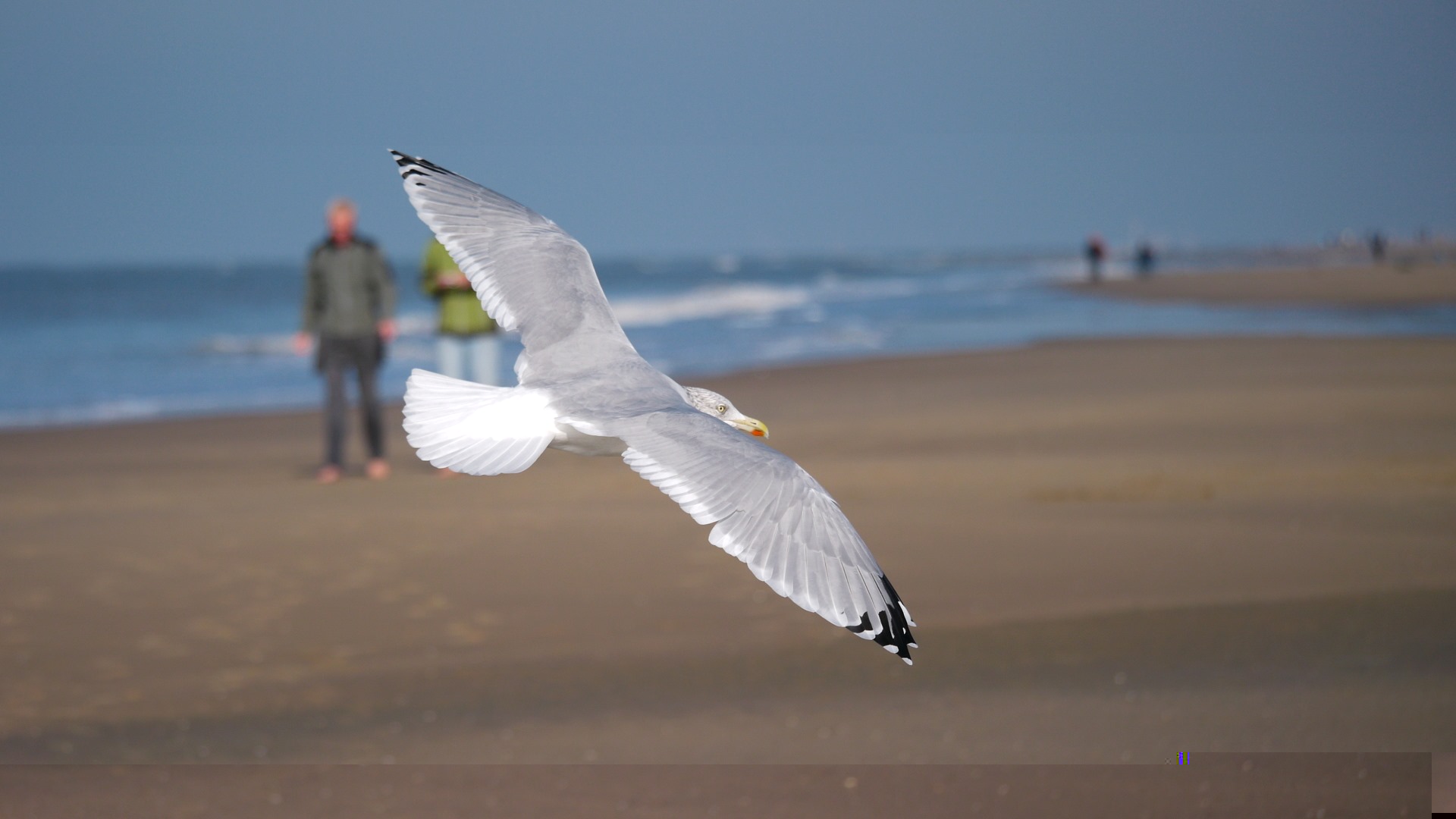 Noordwijk 56 .JPG