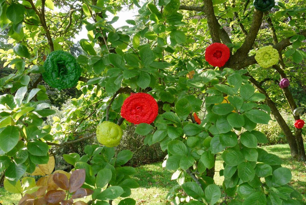 P1000175.jpg