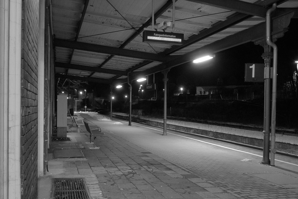 P1070750-1-1.jpg