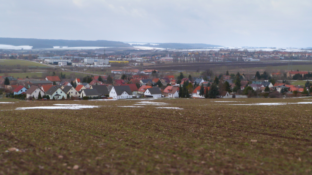 P1070736-1-2.jpg
