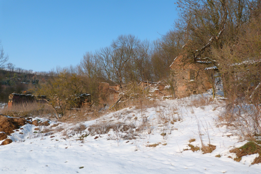 P1070916-7.jpg