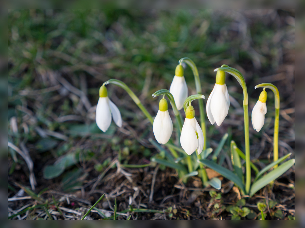 20130319_1983x.jpg