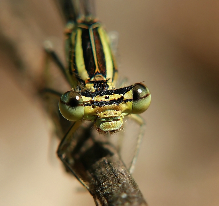 comp_01r1280xv.jpg