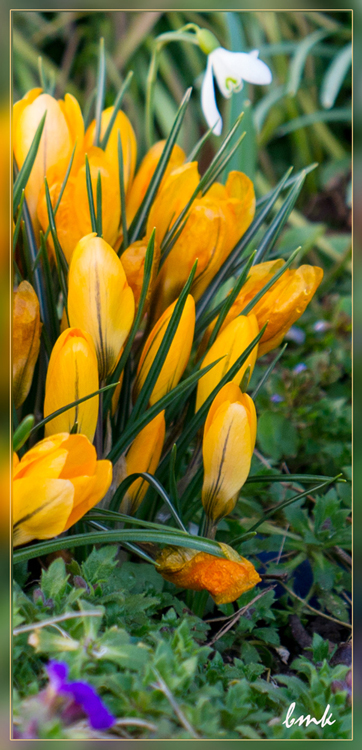 Ostern_2013.jpg