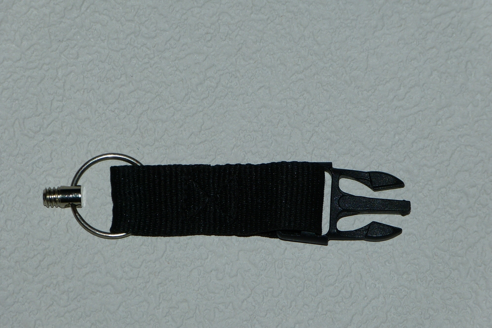 compP1130160.jpg