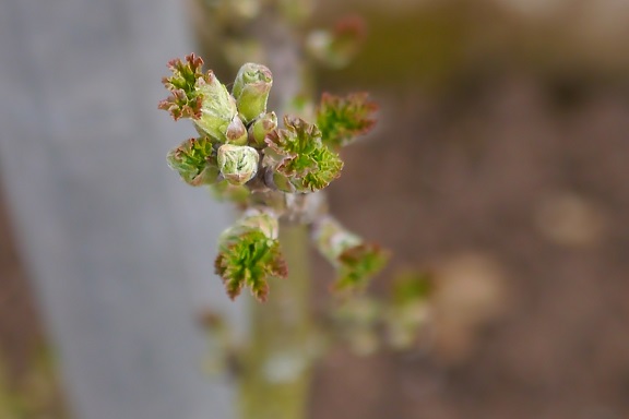 P1000015.jpg