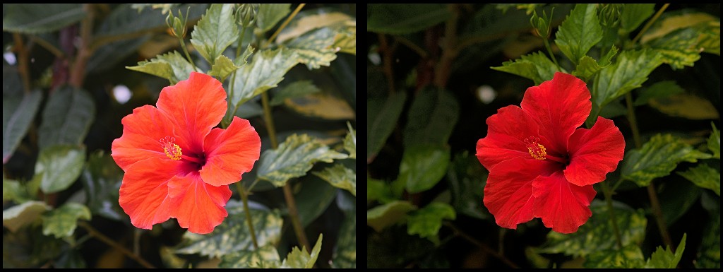 G5-rot.jpg