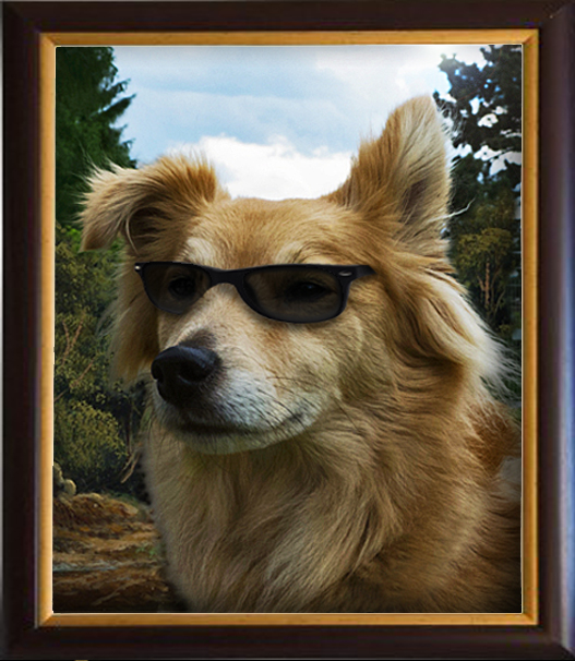 Bruno bearbeitet4.jpg