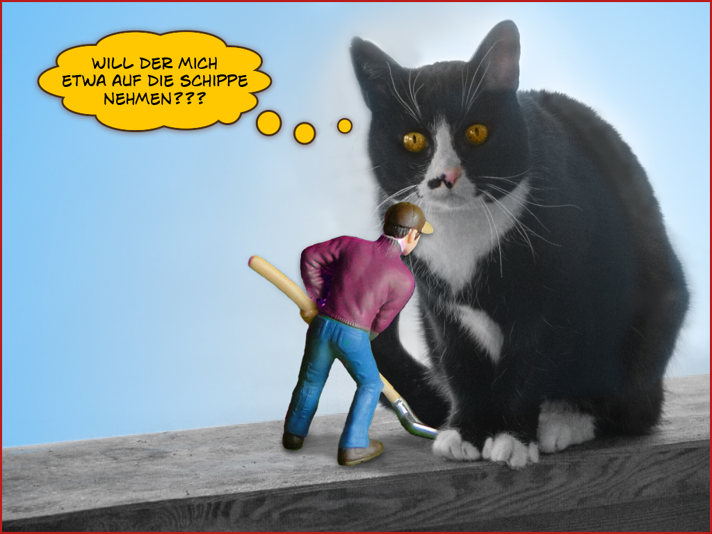 katze-auf-die-schippe.jpg