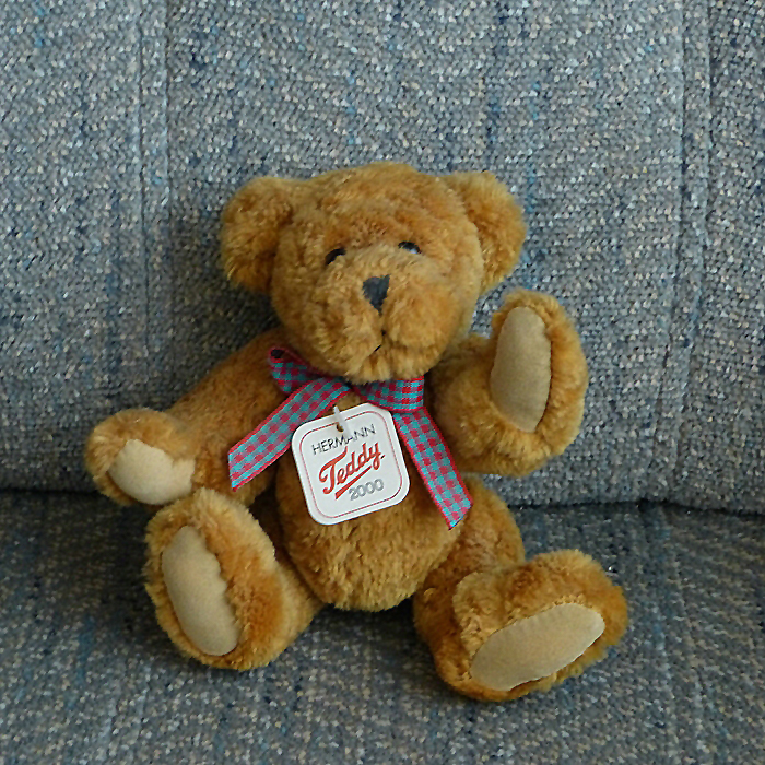 Teddy.jpg