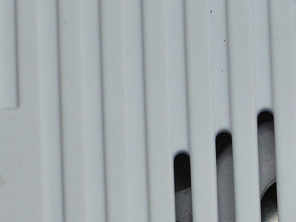 comp_P1020931a.jpg