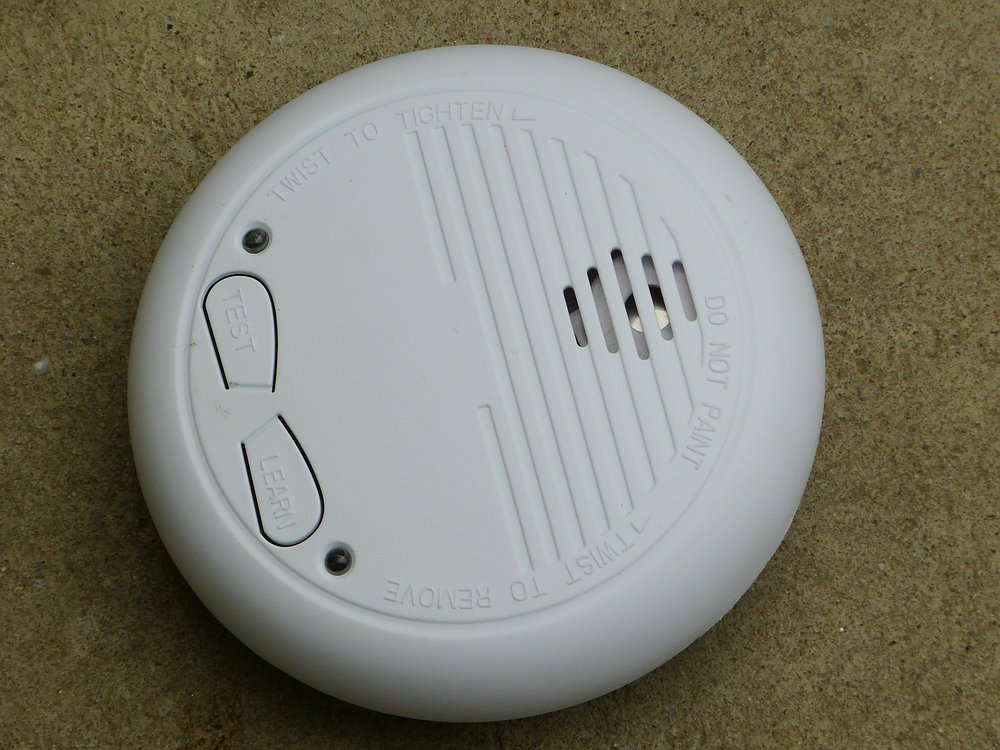 comp_P1020929.jpg
