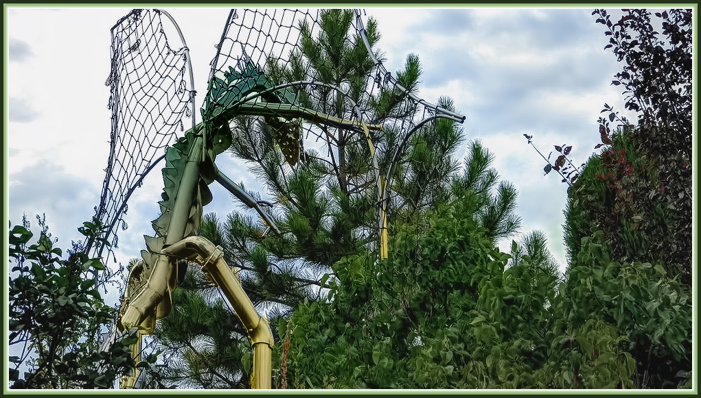 P1010571_2_3_fused2013sm-2.jpg
