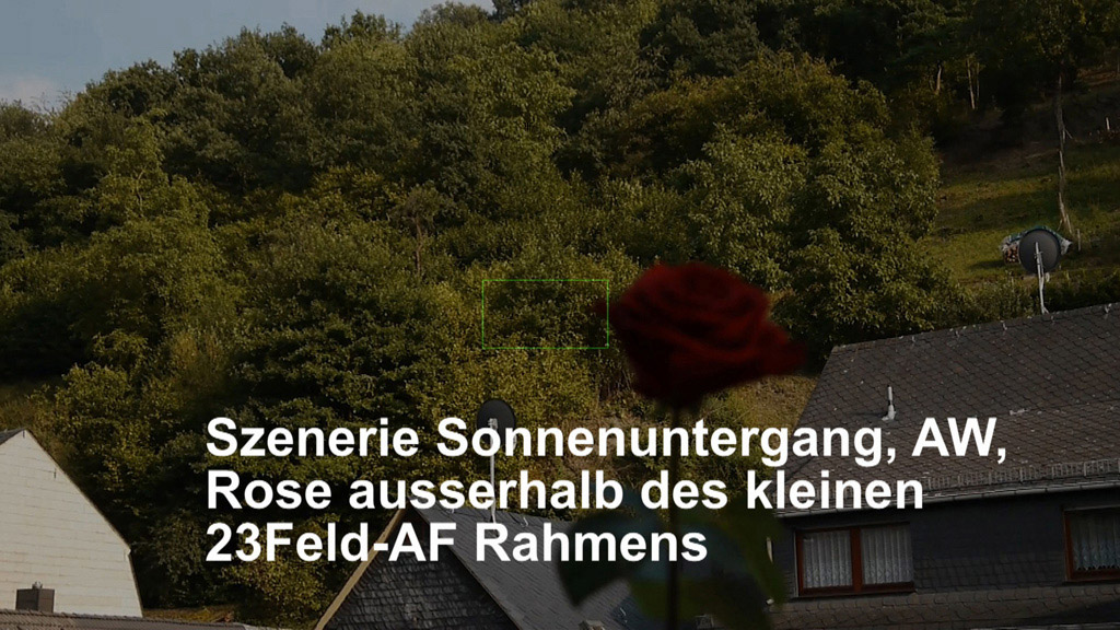1a-1Szeneriemodus Sonnenuntergang-Rose ausserhalb des 23Feld AF-Rahmens.jpg