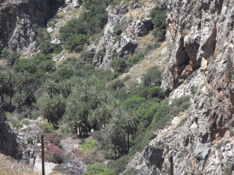 Wandern Kreta 032.jpg