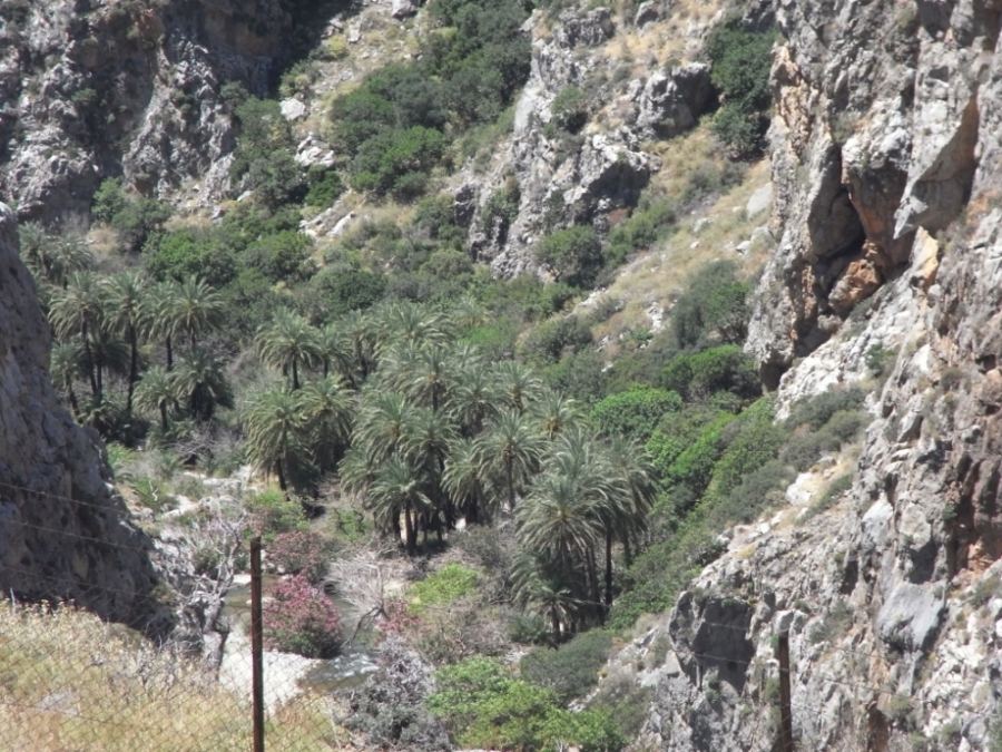 Wandern Kreta 033.jpg