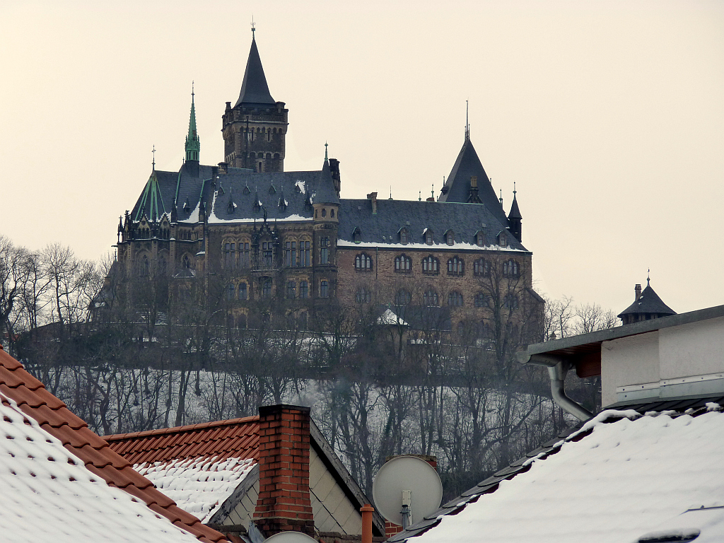 P1110315.JPG