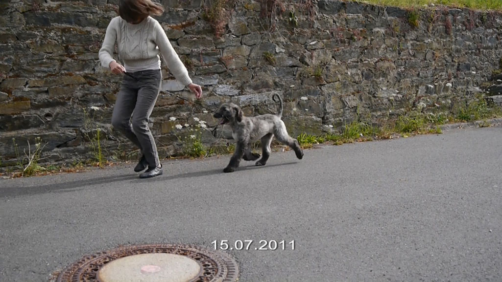 Rieslilng testfoto für zeilensprung 2 lumix forum800.jpg