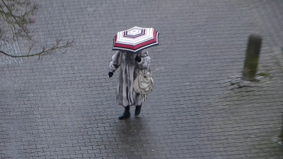 Regen web.jpg
