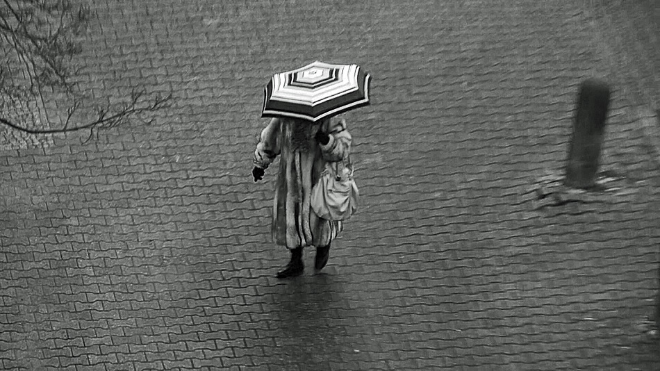 Regen web s w.jpg