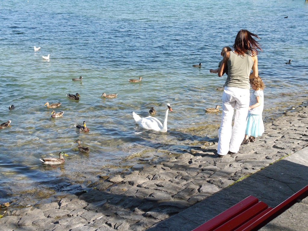 P1000122.JPG