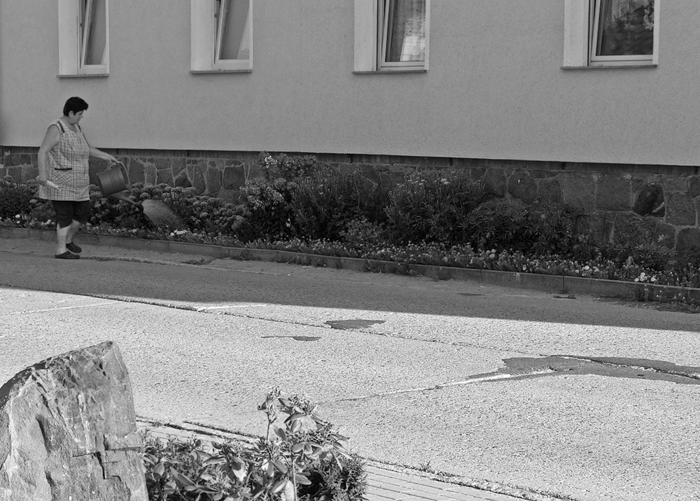 Morgens auf dem Land.jpg