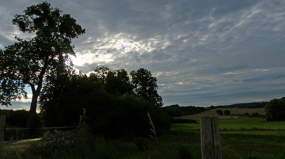 Guten Morgen vom Land.jpg