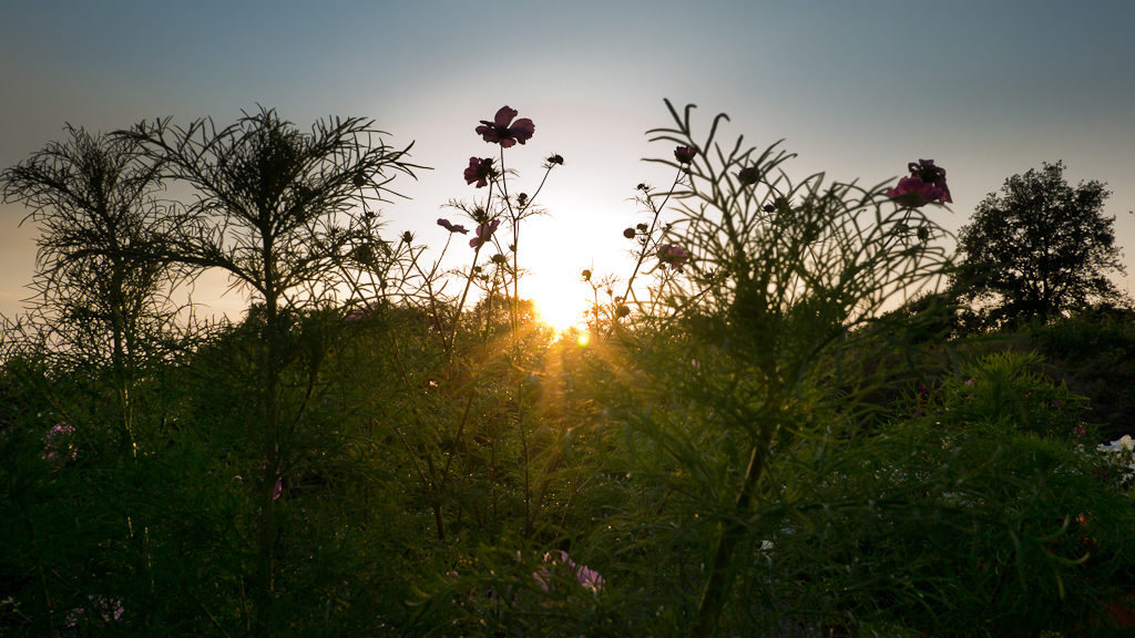 P1050428.jpg