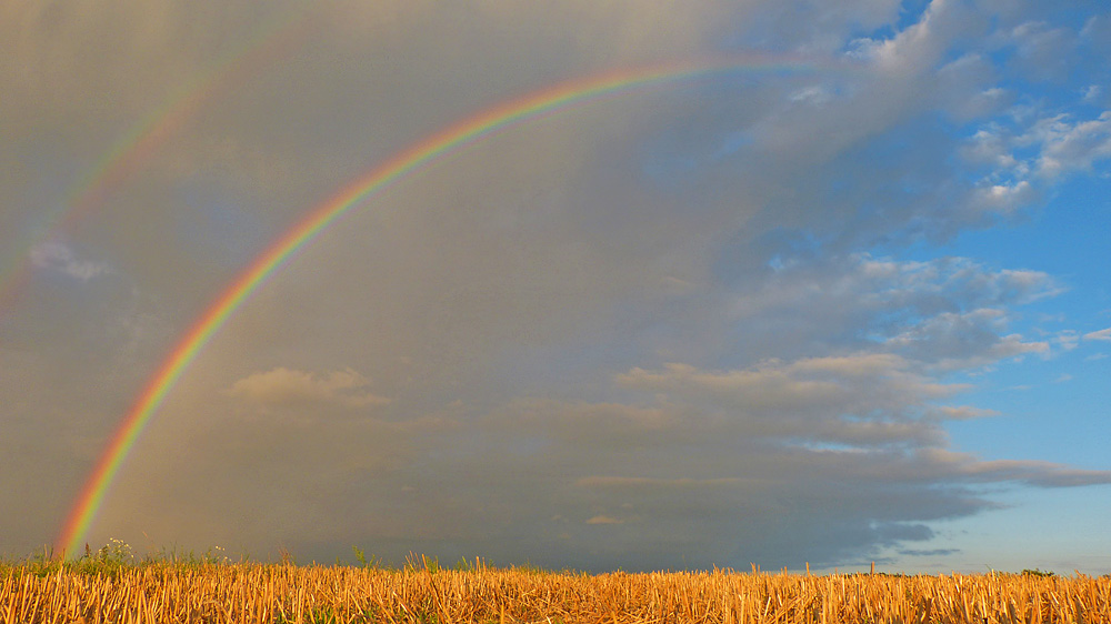 Regenbogen erster Versuch.jpg