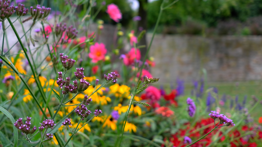 L9992869 - Arbeitskopie 2.jpg