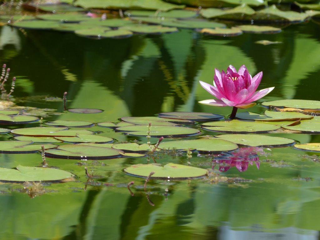 P1000959 - Kopie.jpg