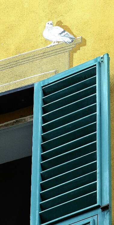 taubeschatten_1-1534687486.jpg