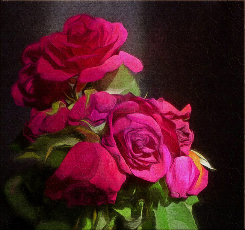rose-Wiederhergestellt.jpg