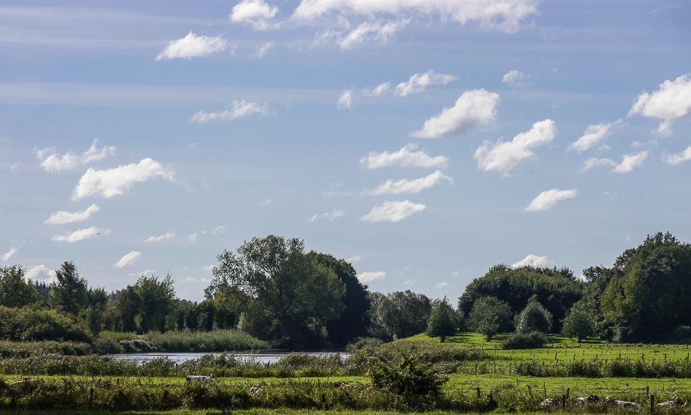 20130929-P1050308a-2.jpg