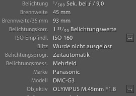 1.1.jpg