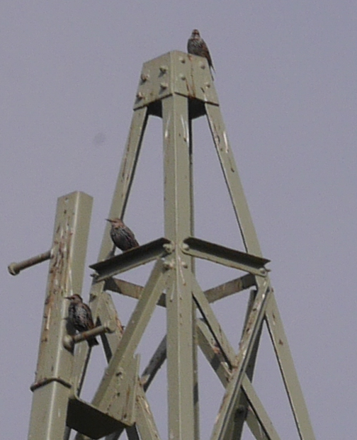 20131007 MV mit Stabi.jpg