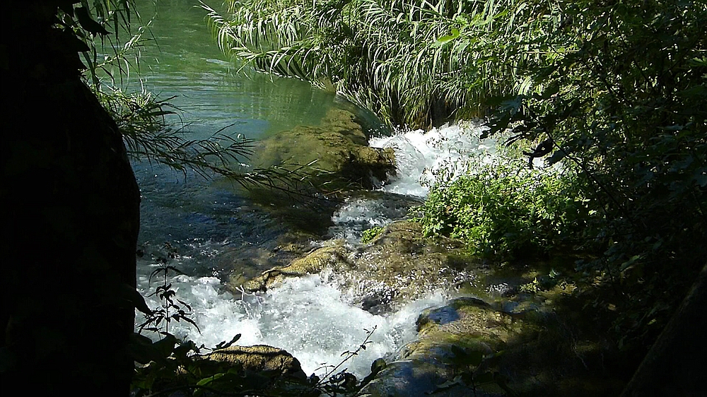 comp_Krka 01 PSE.jpg