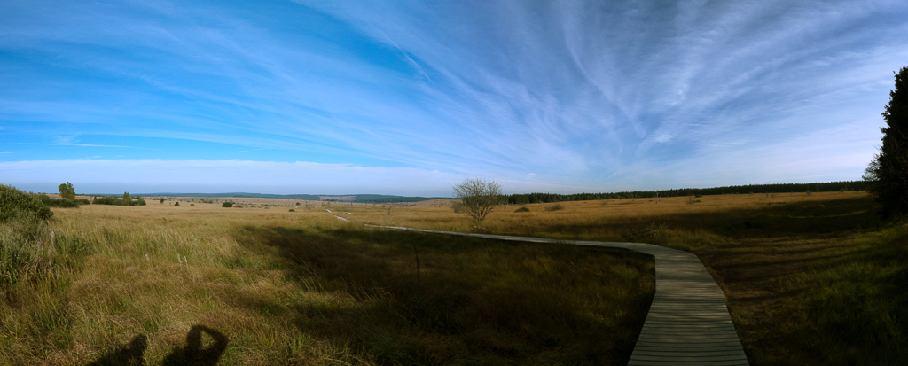 Hohes Venn_20131002_16-19 Panorama.jpg