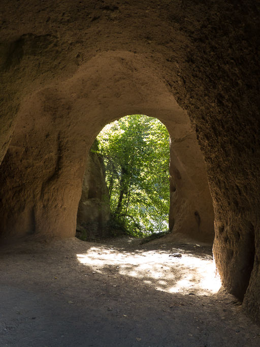 Trasshöhle.jpg