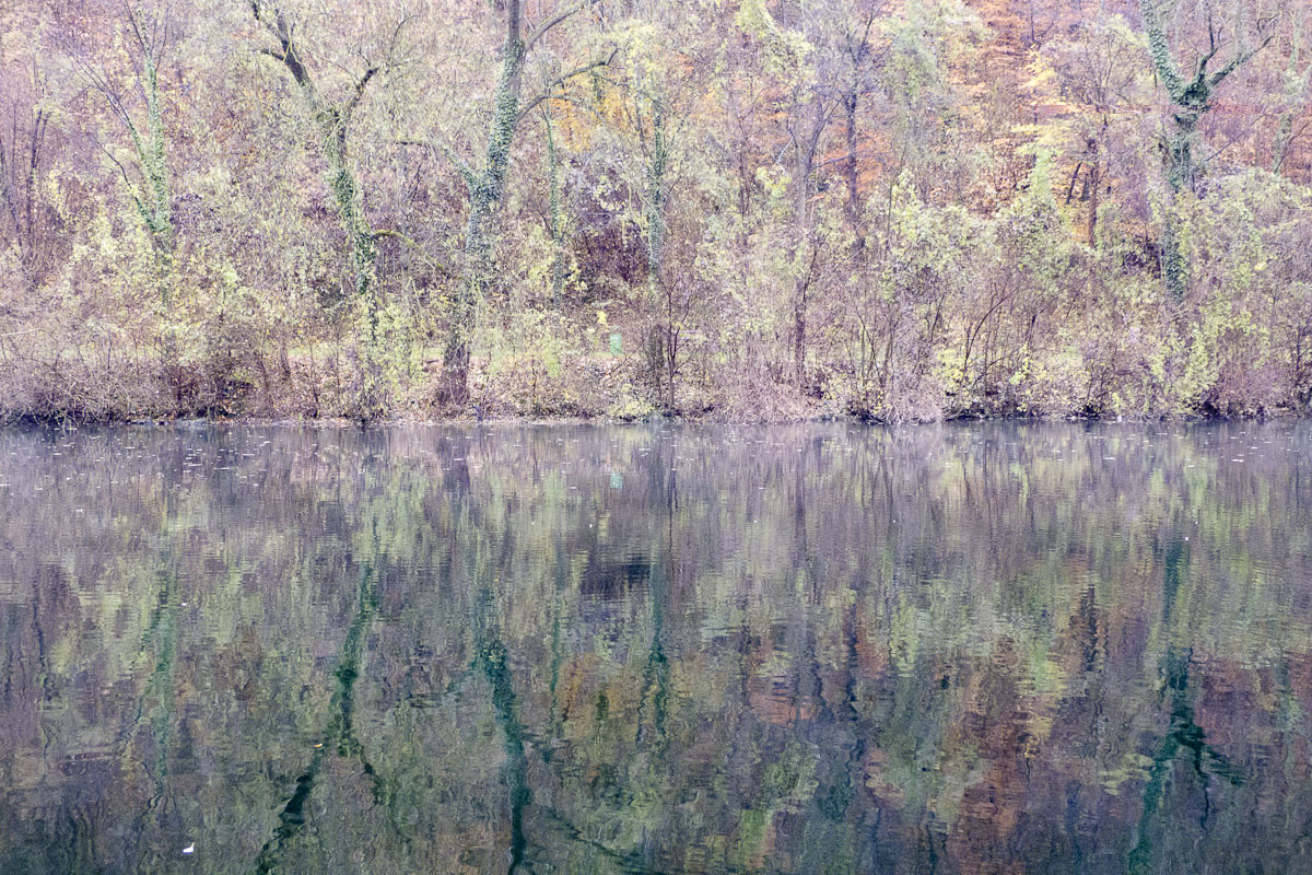 P1030217-2.jpg
