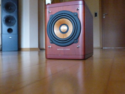 P1000156.JPG