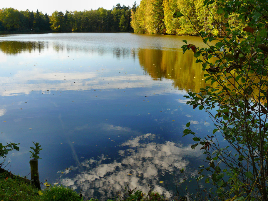 P1200090 L.jpg
