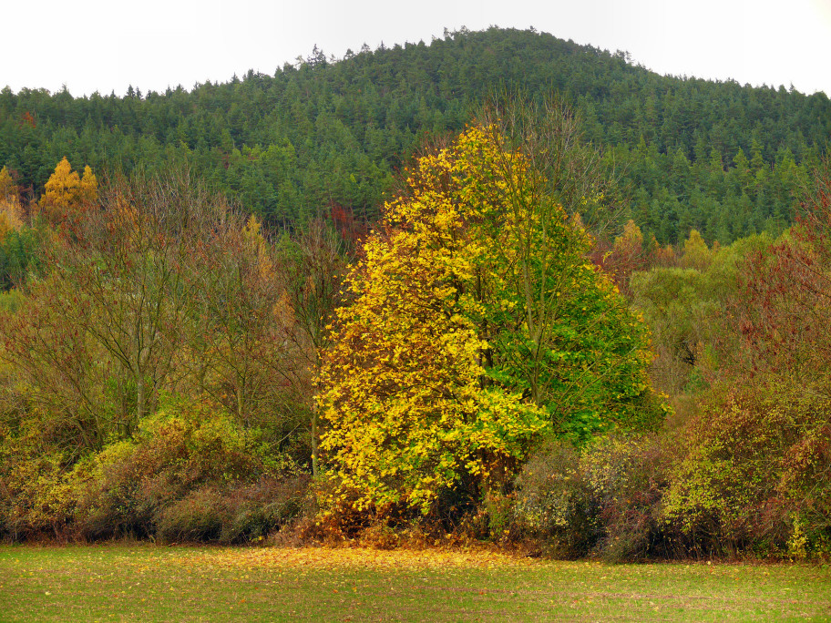 P1200252 L.jpg