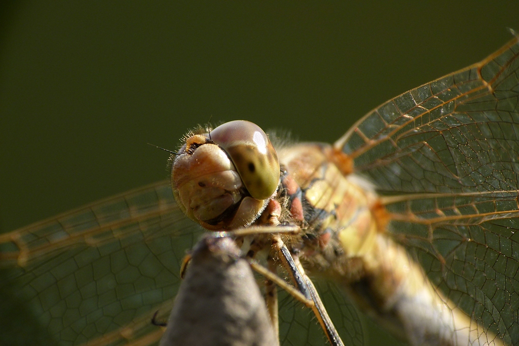 0P1000095.jpg