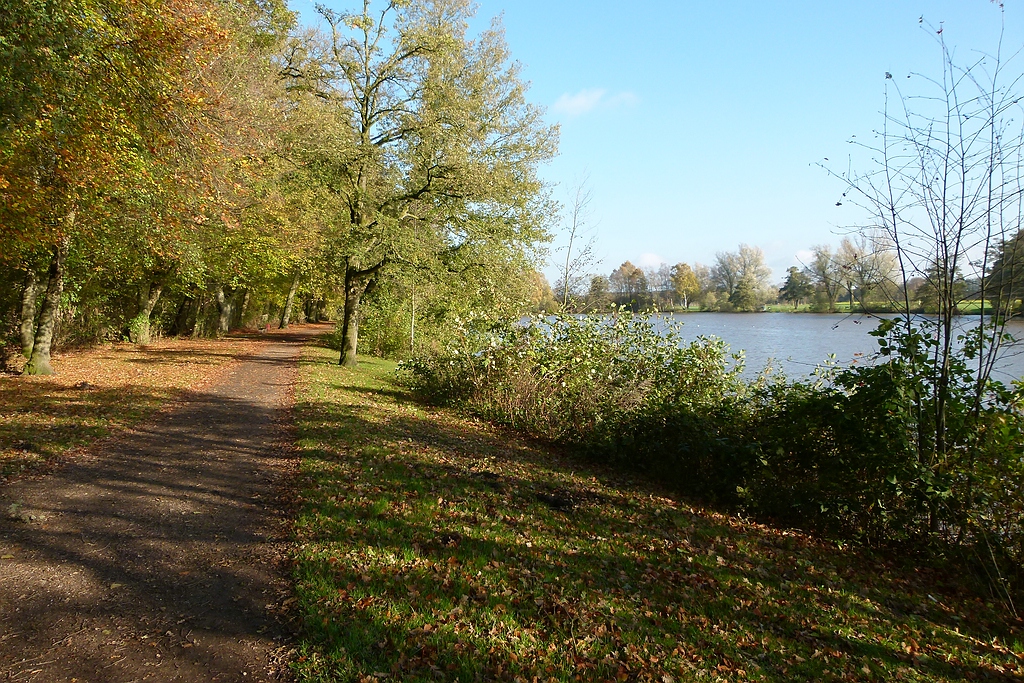 0P1000073.jpg
