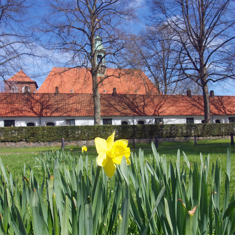Schloßkirche Ahrensburg.jpg