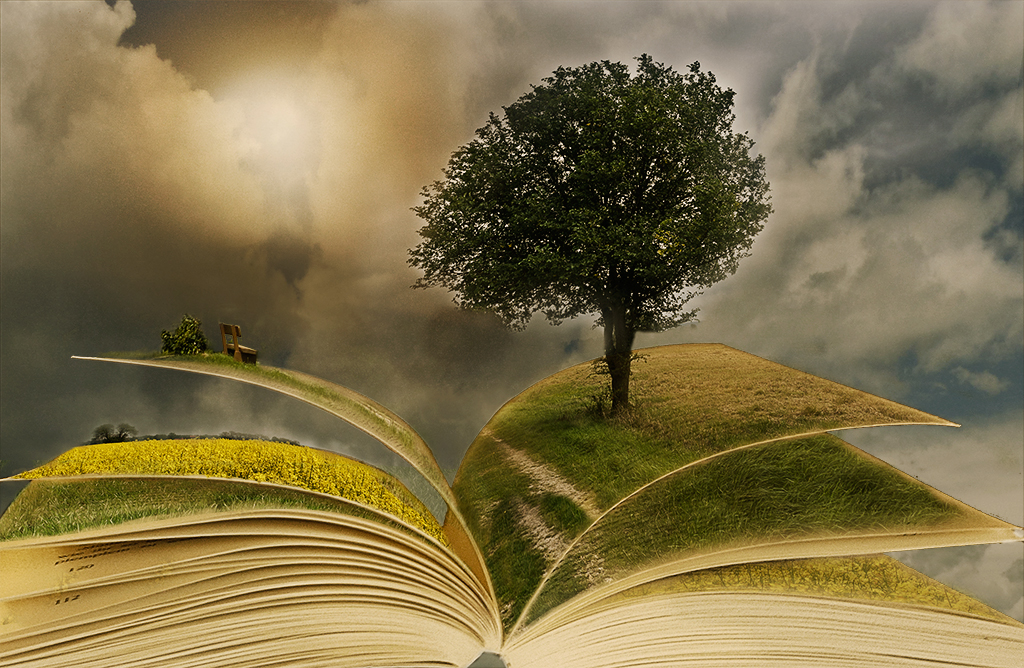 buch-dorf-halbfertig.jpg