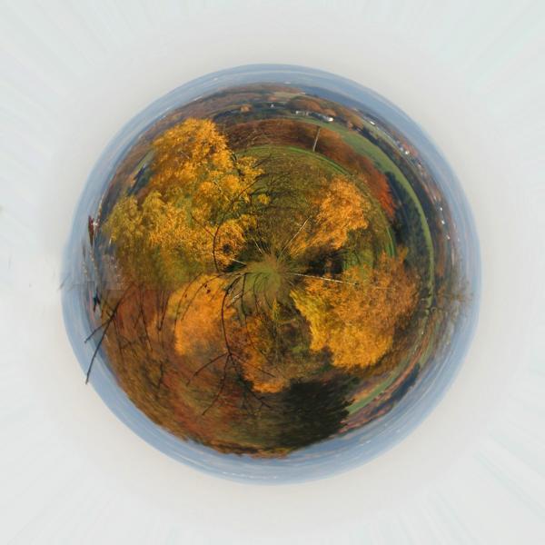 Herbstplanet.JPG